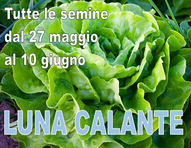 Semine in luna crescente