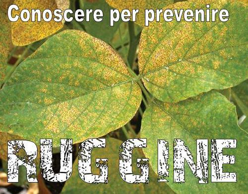 ruggine dei vegetali